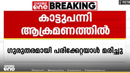 കോഴിക്കോട് കാട്ടുപന്നി ആക്രമണത്തിൽ ഗുരുതര പരിക്കേറ്റയാൾ മരിച്ചു | Kozhikode | Wild Boar Attack