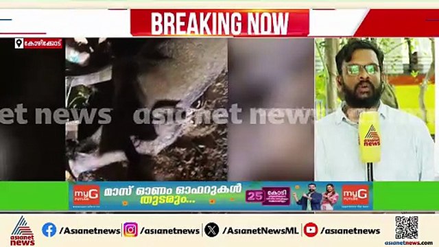 കാട്ടുപന്നി സ്‌കൂട്ടറിൽ ഇടിച്ച അപകടം; പരിക്കേറ്റ യുവാവ് മരിച്ചു
