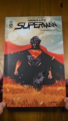 Superman: The Ultimate Hero