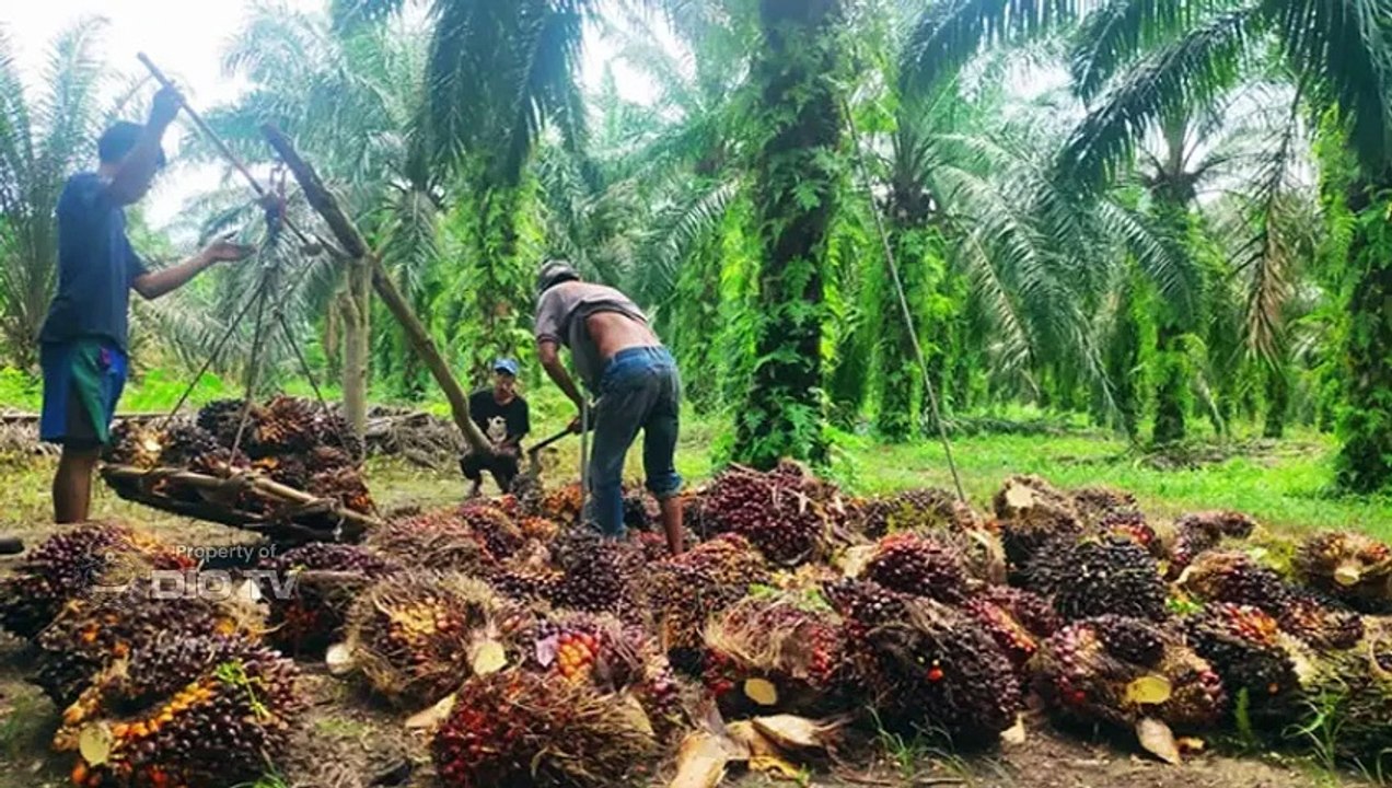 Bank Kalbar Ukir Sejarah Emas, Raih Predikat Tertinggi, TOP GRC Award 2025. Cerminan Nyata Kerja Keras, Dedikasi, dan Kebersamaan Seluruh Karyawan