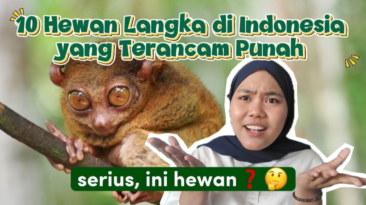 10 Hewan Langka di Indonesia yang Terancam Punah dan Dilindungi-Serius Ini Hewan?