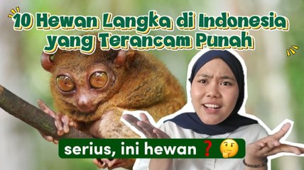 10 Hewan Langka di Indonesia yang Terancam Punah dan Dilindungi-Serius Ini Hewan?