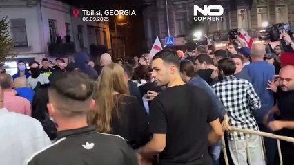 В Тбилиси произошли столкновения сторонников "Грузинской мечты" и активистов оппозиции