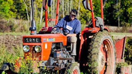 Al via bando per il servizio civile ambientale e agricolo