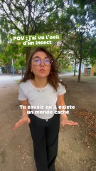 🔬✨ Tu savais qu’il existe un monde invisible sous nos pieds ?©️ Crédit : @petitmauda @cnrs🎁 Tous nos bons plans à retrouver en bio ! ❤️‍🔥👉🏻 Abonne-toi au Petit Mauda pour plus d'inspiration ! 🌳#CNRSinsolite #petitmauda #guide #cnrs