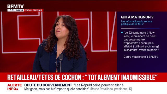 Des têtes de cochon retrouvées devant plusieurs mosquées de région parisienne, une enquête ouverte