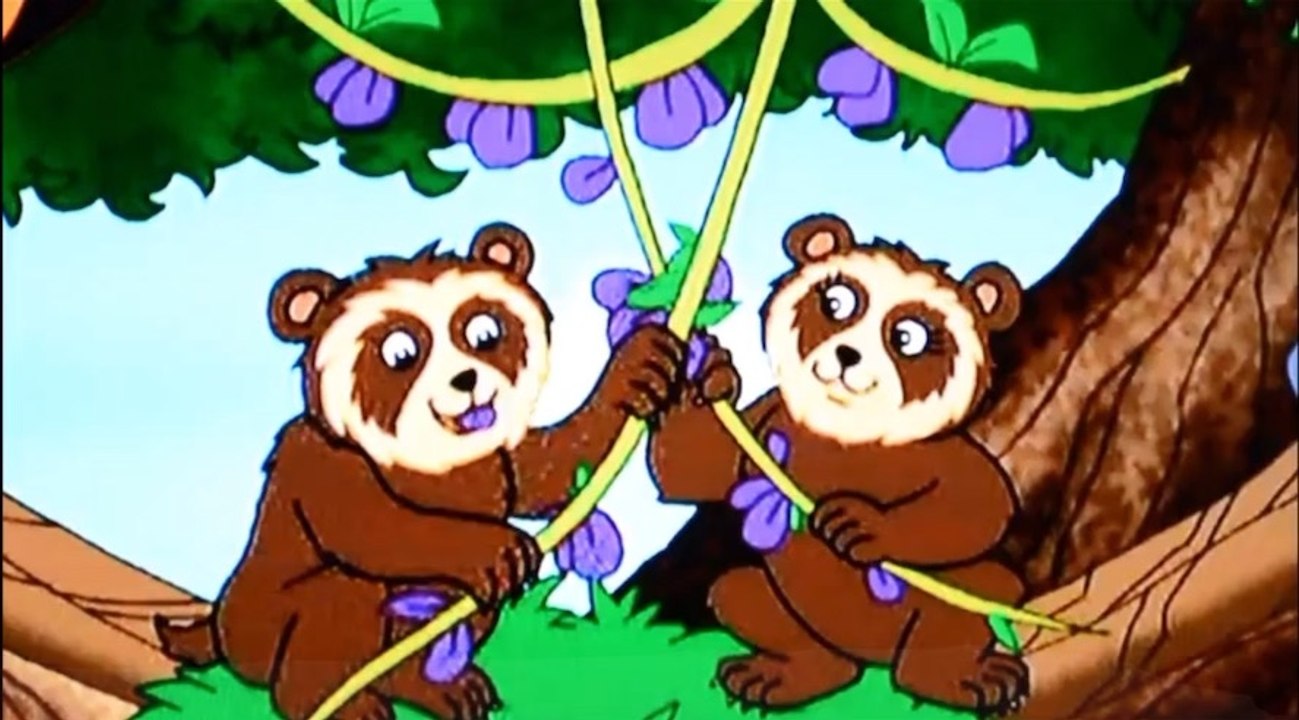 Let’s go Bear