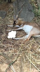 Who needs policies for peace?