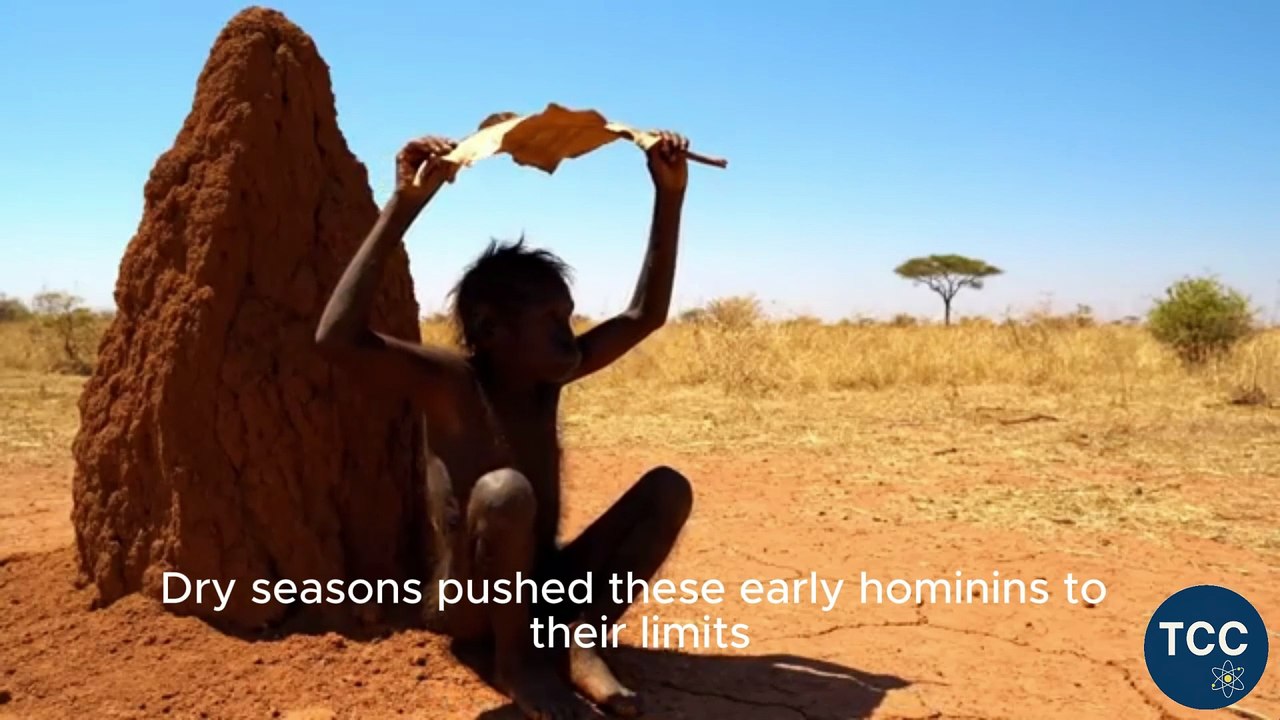 Life of Humans 4.7 Million Years Ago  How Did They