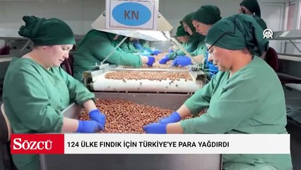 124 ülke fındık için Türkiye'ye para yağdırdı