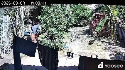 LADRON ROBO DOMICILIO