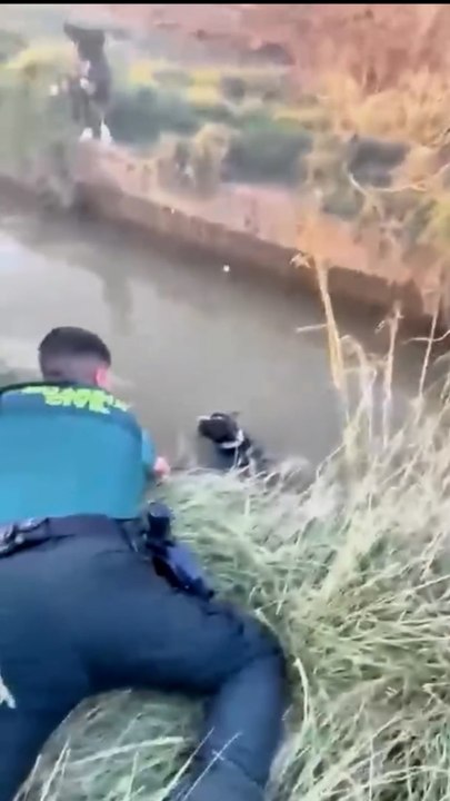 La Guardia Civil salva a un perro de ahogarse en una acequia