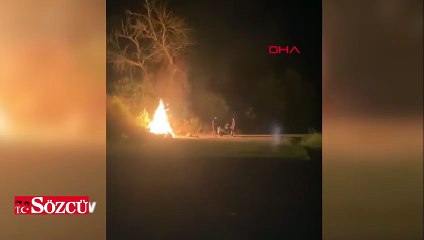 Ormanı ateşe verdiler; o anlar kamerada