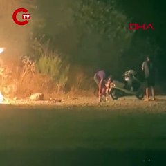 Ormanı ateşe verdiler; o anlar kamerada