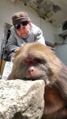 Monkey xingxing and grandma #monkey #monkey #xingxing #cute #lovely