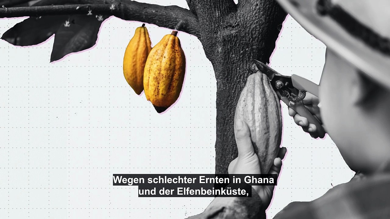 Wo in Europa steigen die Preise für Schokolade am stärksten?