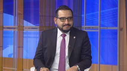 Diputados buscan transparentar la asignación de cupos de transporte selectivo