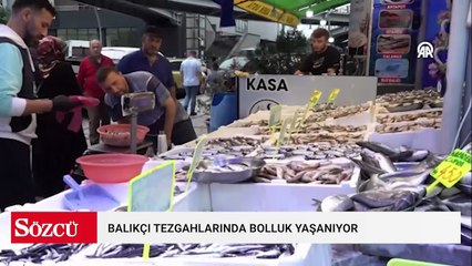 Balık fiyatları dibi gördü: Kilosu 100 liradan kapış kapış satılıyor