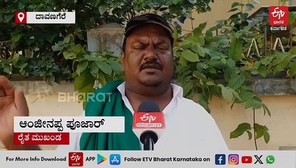 ದಾವಣಗೆರೆ: ಇಂಗು ಗುಂಡಿ ತೋಡಿ ಜೀವಜಲ ಇಂಗಿಸಿ, ಅಂತರ್ಜಲ ವೃದ್ಧಿಗೆ ಪಣ ತೊಟ್ಟ ಜಿಲ್ಲಾ ಪಂಚಾಯತ್​!