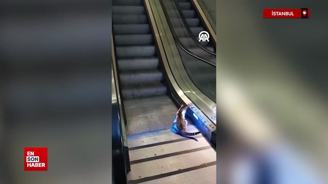 İstanbul'da yürüyen merdivene ters binen kedinin yardımına vatandaş koştu