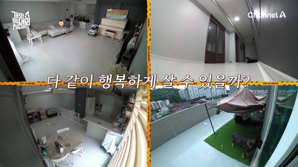 독박 육아로 지친 늑대 3호의 보호자를 찾아온 이윤지! '연결고리'를 찾을 수 있을까?