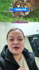 Advertisements in United Kingdom