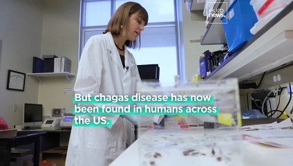 What is the Chagas parasitic disease and how does it impact health?