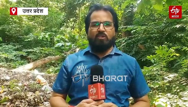 यूपी में तेंदुए और बाघ का आतंक; एक साल में 220 लोगों पर अटैक, 60 की गई जान, कई इलाकों में घूम रहे जंगली जानवर