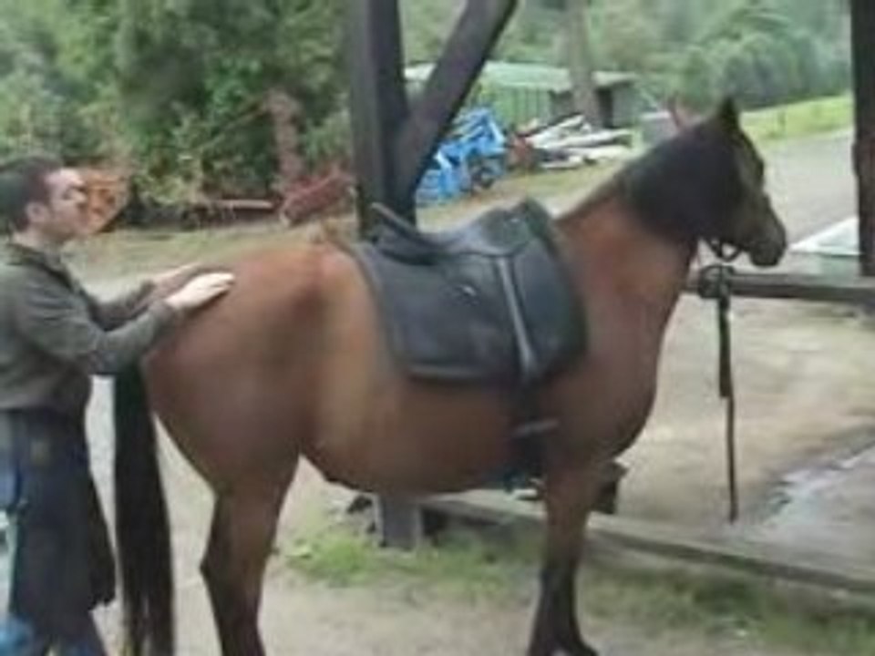 Séance de shiatsu Nour