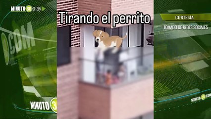 Autoridades rescatan a perrito que niños usaban como juguete en Medellín