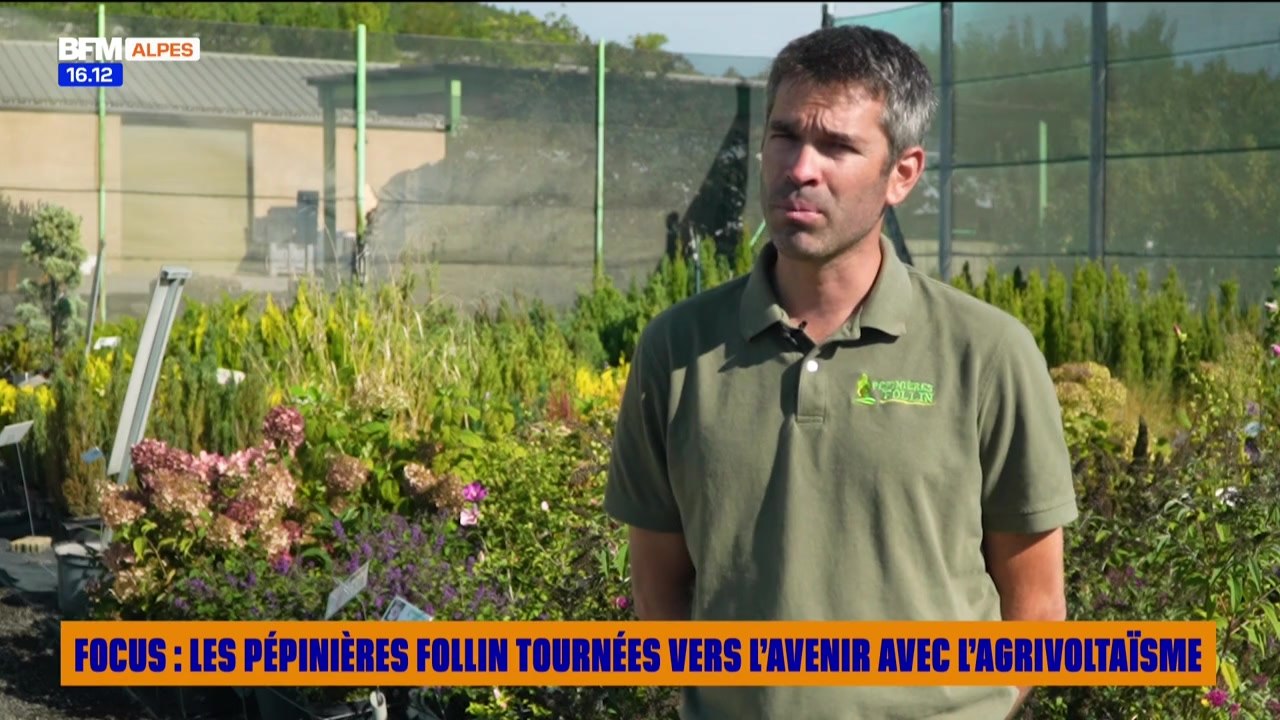 FOCUS du mardi 9 septembre - Les Pépinières Follin tournées vers l'avenir avec l'agrivoltaïsme