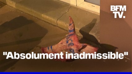 Des têtes de cochons retrouvées devant des mosquées en région parisienne