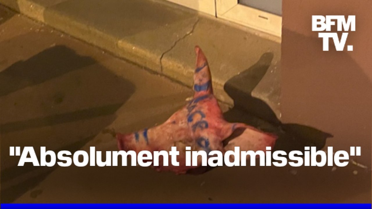 Des têtes de cochons retrouvées devant des mosquées en région parisienne