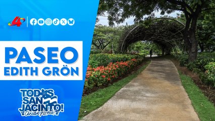 🌟 Nuevo paseo en Managua honra a la gran escultora Edith Grön 🇳🇮