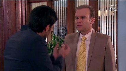 Manual para Ser Feliz: Capítulo 2 🌟