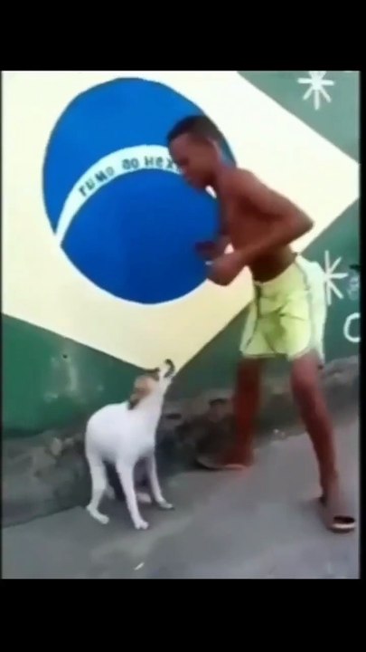 ​Epic Fail! ​Wait for it... ​My Brain Broke ​Nailed it. (or "Failed it.") ​That's a Yikes ​Just Another Tuesday