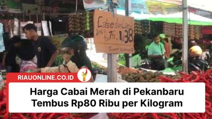 Harga Cabai Merah di Pekanbaru Tembus Rp80 Ribu per Kilogram