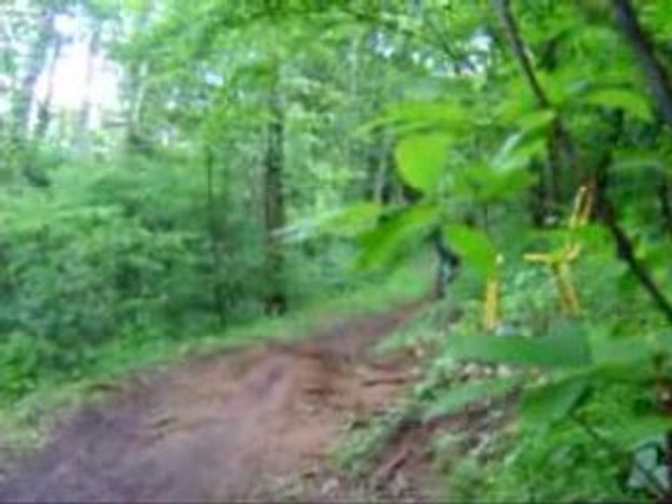 Dirt