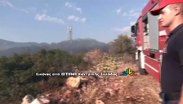Κινητοποίηση για φωτιά στη Λαμία