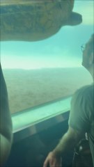 Mini Vlog à Kelonia Part 2 : Musée de la sauvegarde des tortues 🐢