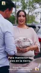 Modo Millonaria Completo