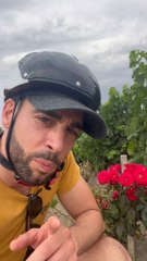 OMG Tu savais ça toi ? 😱