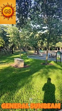 Adorable Squirrels on a Park Date | Funny & Cute Wildlife Moment #squirrels #date #park #texas