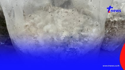 รวบหนุ่มวัย 25ปี ขายเห็ดขี้ควายออนไลน์ สุดอู้ฟู่ของกลาง 2.2 ล้าน