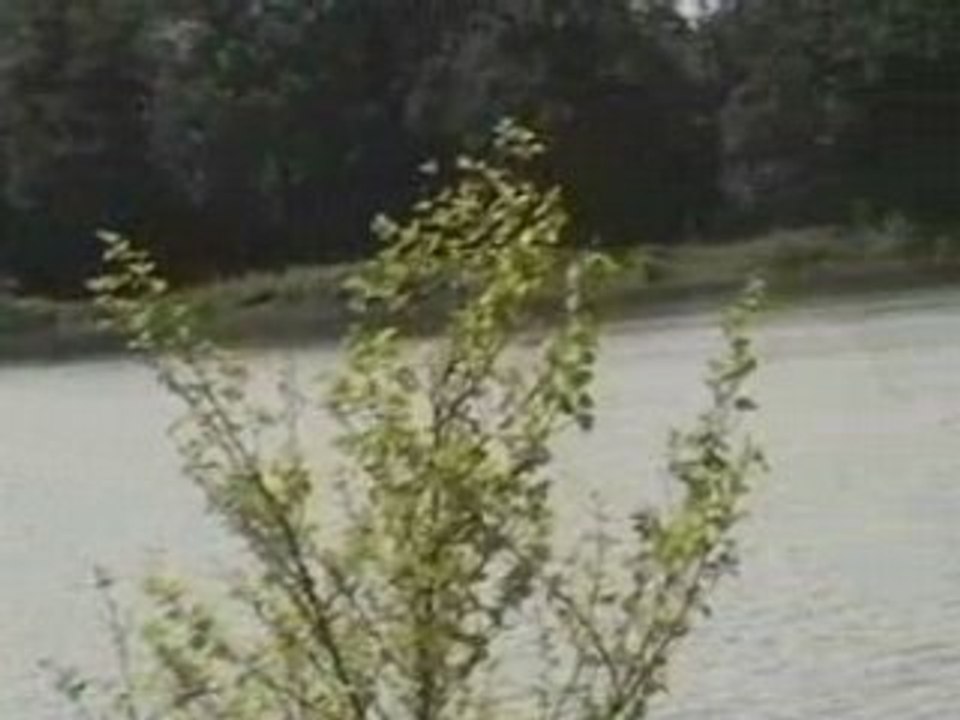 AGITATOR FUTUR SPIRIT OF NORWAY 4° SORTIE (VERSION ABBA)