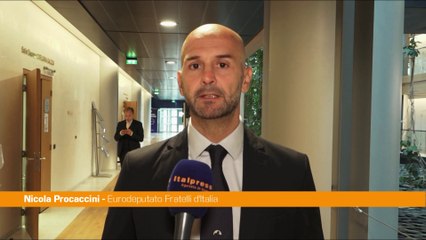 Ue, Procaccini "Il Green Deal è un dazio autoimposto, va rimosso"