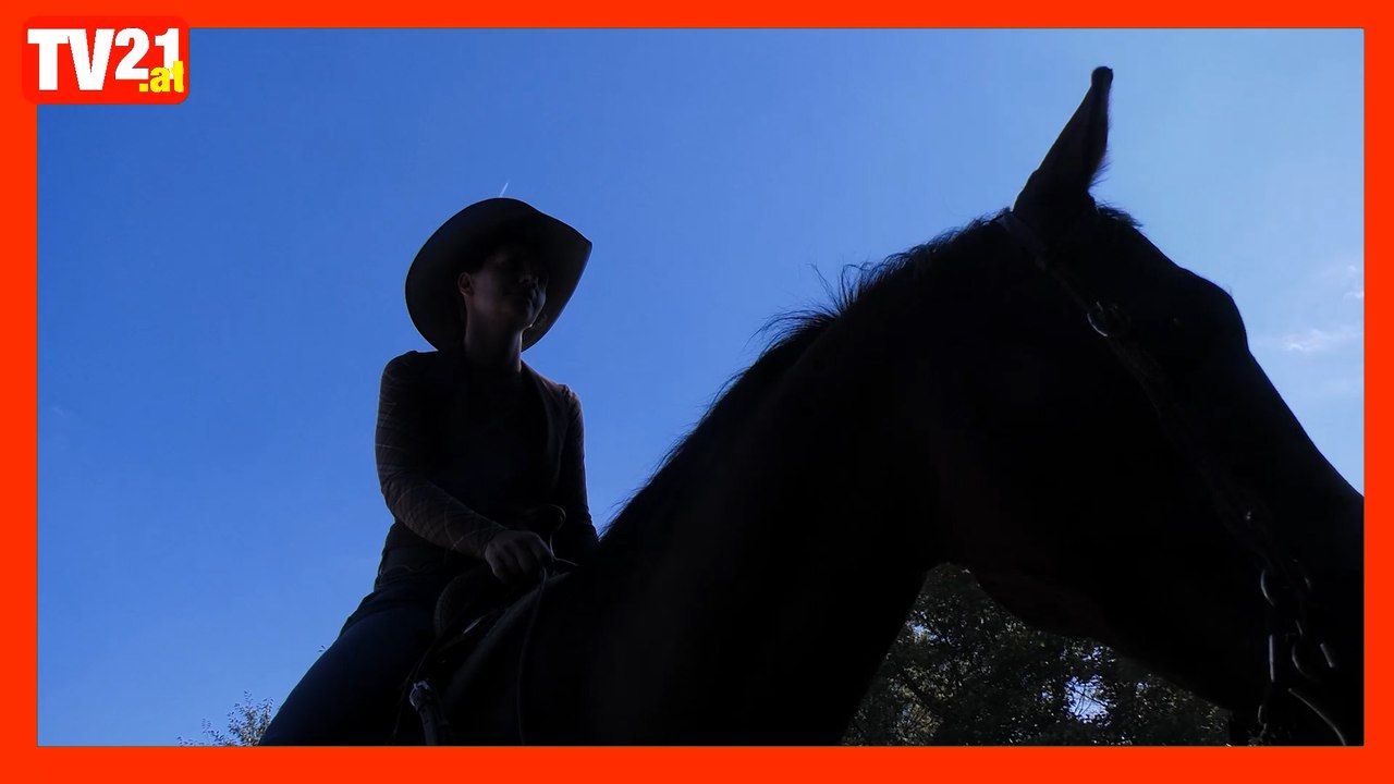 Groß-Enzersdorf 2025 – wo Reitsport Geschichte schrieb ÖM im Westernreiten