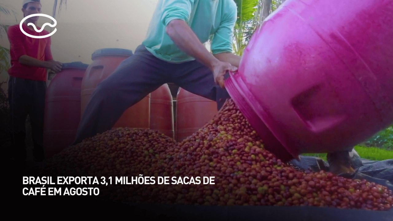 Brasil exporta 3,1 milhões de sacas de café em agosto