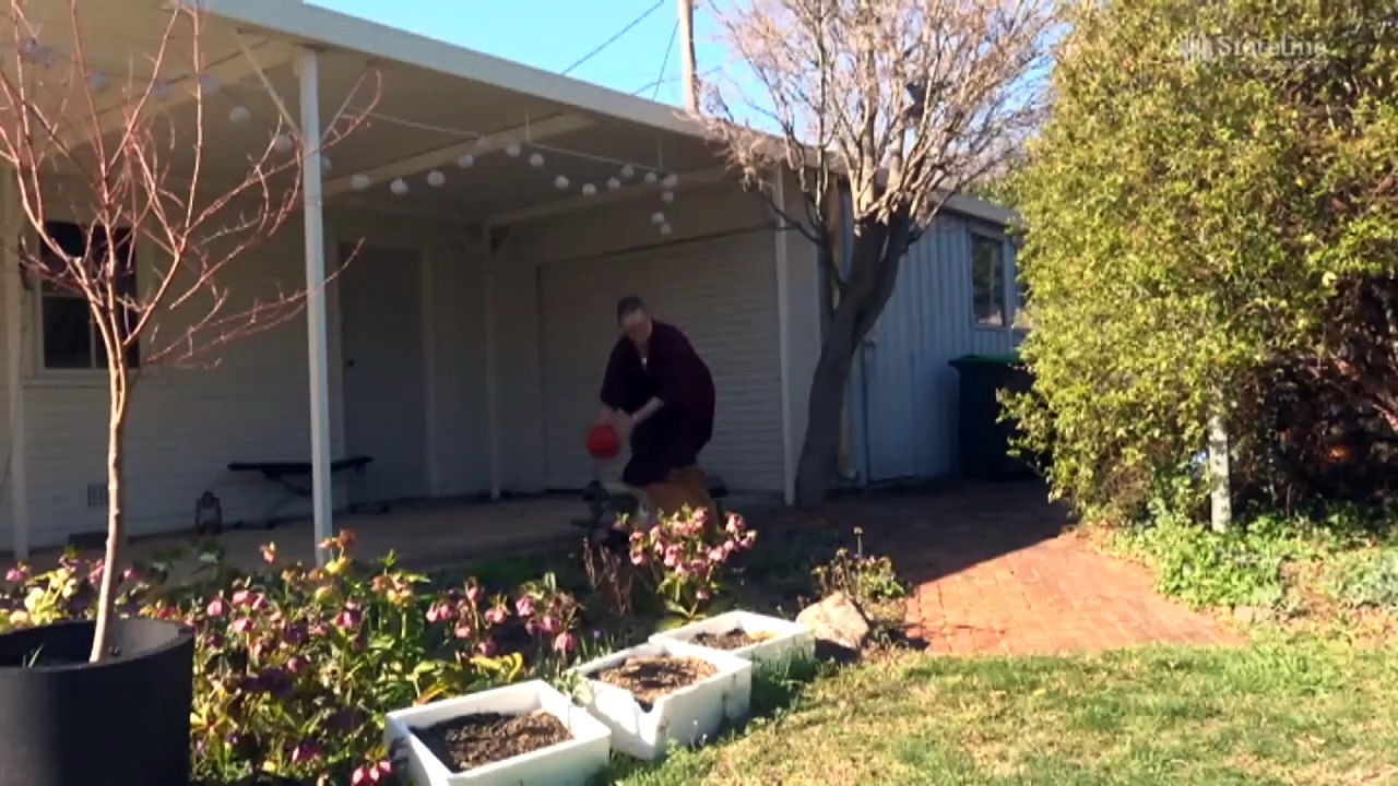 'Low levels of satisfaction' with healthcare in Canberra for endometriosis, menopause, identified in Women's Health Matters survey