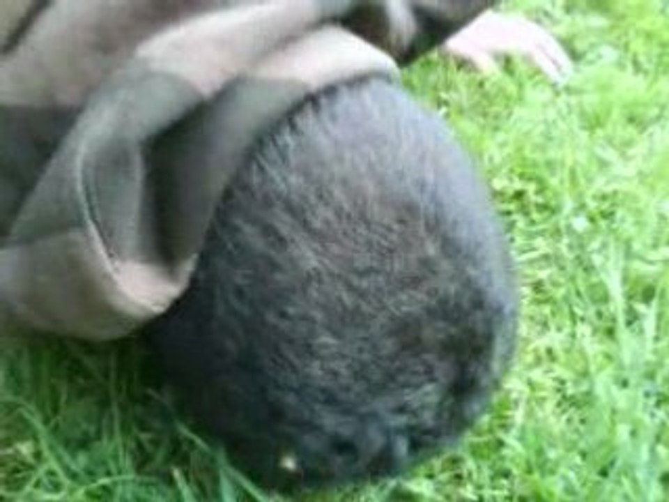 jason tourniquet essai 2